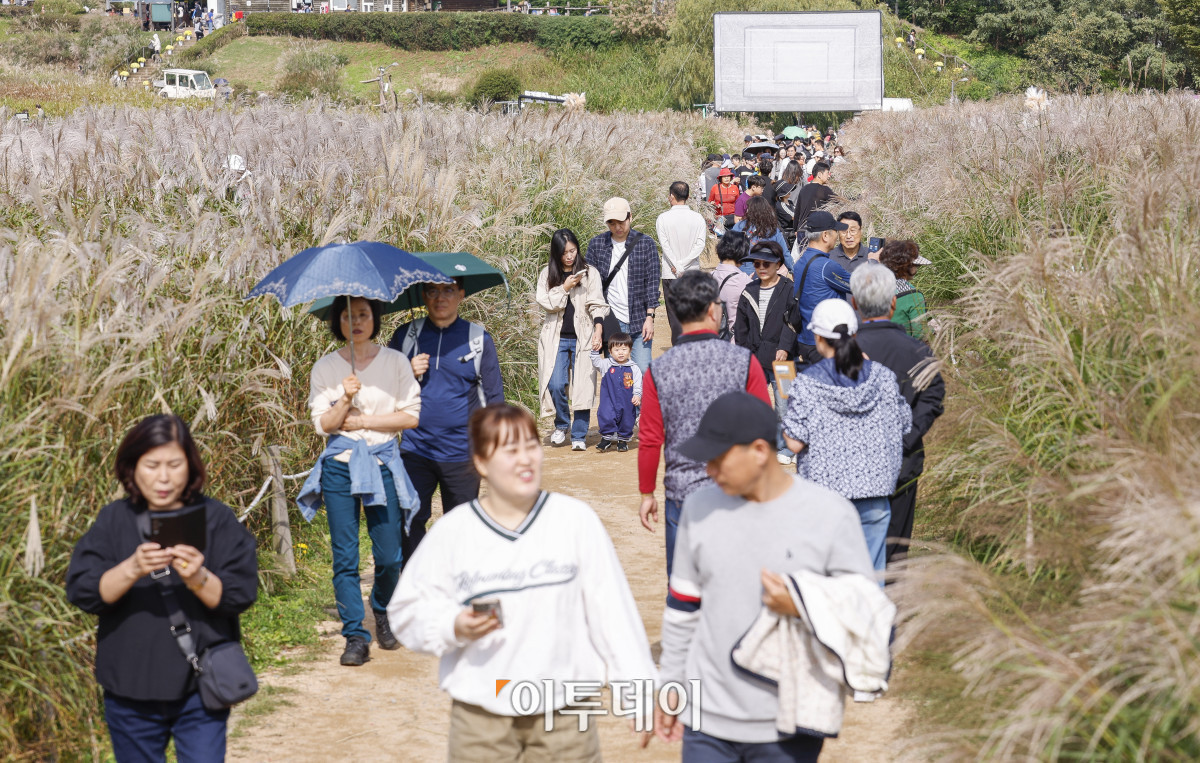 ▲완연한 가을날씨를 보인 19일 서울 마포구 하늘공원에서 열린 서울억새축제를 찾은 시민들이 주말을 즐기고 있다. 약 6만평 규모의 하늘공원 억새밭에서 열리는 2025 서울억새축제는 억새밭뿐 아니라 다양한 전시와 곳곳에 조형물과 미디어아트, 포토존이 설치돼 시민들에게 다양한 볼거리를 선사한다. 서울시는 18일부터 24일까지 7일간 열리는 축제 기간 평소 오후 7시까지 운영하던 공원 개방 시간을 오후 9시까지 연장하고, 축제가 끝난 후에도 만개한 억새를 관람할 수 있도록 다음 달 2일까지는 오후 8시까지 공원을 개방한다. 조현호 기자 hyunho@