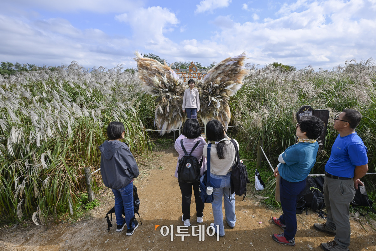 ▲완연한 가을날씨를 보인 19일 서울 마포구 하늘공원에서 열린 서울억새축제를 찾은 시민들이 주말을 즐기고 있다. 약 6만평 규모의 하늘공원 억새밭에서 열리는 2025 서울억새축제는 억새밭뿐 아니라 다양한 전시와 곳곳에 조형물과 미디어아트, 포토존이 설치돼 시민들에게 다양한 볼거리를 선사한다. 서울시는 18일부터 24일까지 7일간 열리는 축제 기간 평소 오후 7시까지 운영하던 공원 개방 시간을 오후 9시까지 연장하고, 축제가 끝난 후에도 만개한 억새를 관람할 수 있도록 다음 달 2일까지는 오후 8시까지 공원을 개방한다. 조현호 기자 hyunho@