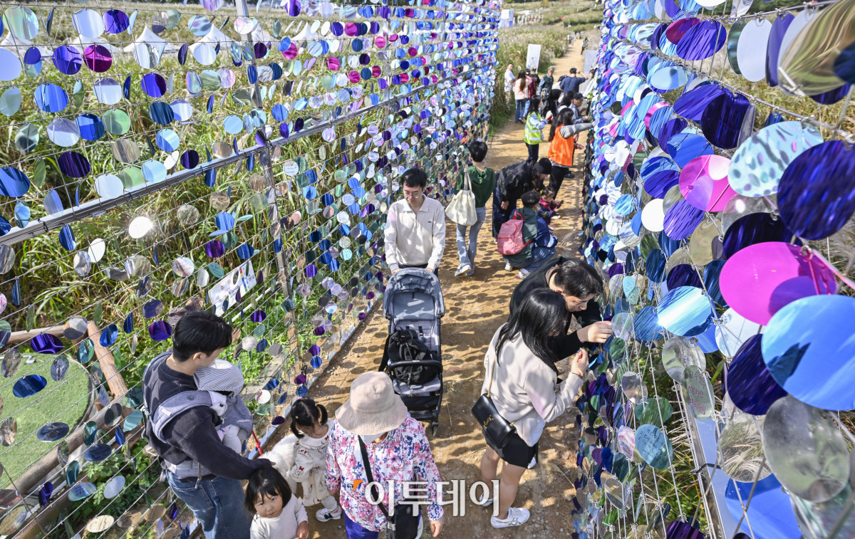 ▲완연한 가을날씨를 보인 19일 서울 마포구 하늘공원에서 열린 서울억새축제를 찾은 시민들이 주말을 즐기고 있다. 약 6만평 규모의 하늘공원 억새밭에서 열리는 2025 서울억새축제는 억새밭뿐 아니라 다양한 전시와 곳곳에 조형물과 미디어아트, 포토존이 설치돼 시민들에게 다양한 볼거리를 선사한다. 서울시는 18일부터 24일까지 7일간 열리는 축제 기간 평소 오후 7시까지 운영하던 공원 개방 시간을 오후 9시까지 연장하고, 축제가 끝난 후에도 만개한 억새를 관람할 수 있도록 다음 달 2일까지는 오후 8시까지 공원을 개방한다. 조현호 기자 hyunho@
