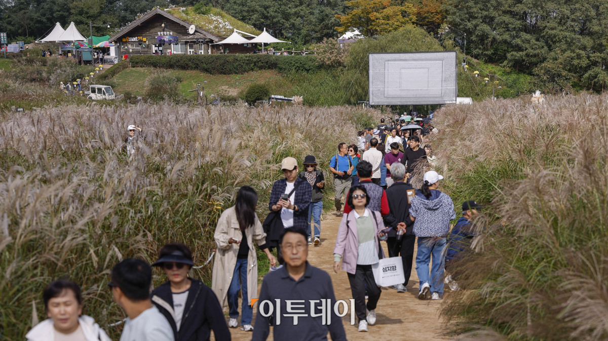 ▲완연한 가을날씨를 보인 19일 서울 마포구 하늘공원에서 열린 서울억새축제를 찾은 시민들이 주말을 즐기고 있다. 약 6만평 규모의 하늘공원 억새밭에서 열리는 2025 서울억새축제는 억새밭뿐 아니라 다양한 전시와 곳곳에 조형물과 미디어아트, 포토존이 설치돼 시민들에게 다양한 볼거리를 선사한다. 서울시는 18일부터 24일까지 7일간 열리는 축제 기간 평소 오후 7시까지 운영하던 공원 개방 시간을 오후 9시까지 연장하고, 축제가 끝난 후에도 만개한 억새를 관람할 수 있도록 다음 달 2일까지는 오후 8시까지 공원을 개방한다. 조현호 기자 hyunho@