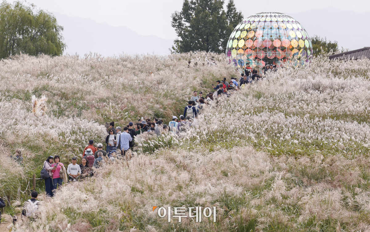 ▲완연한 가을날씨를 보인 19일 서울 마포구 하늘공원에서 열린 서울억새축제를 찾은 시민들이 주말을 즐기고 있다. 약 6만평 규모의 하늘공원 억새밭에서 열리는 2025 서울억새축제는 억새밭뿐 아니라 다양한 전시와 곳곳에 조형물과 미디어아트, 포토존이 설치돼 시민들에게 다양한 볼거리를 선사한다. 서울시는 18일부터 24일까지 7일간 열리는 축제 기간 평소 오후 7시까지 운영하던 공원 개방 시간을 오후 9시까지 연장하고, 축제가 끝난 후에도 만개한 억새를 관람할 수 있도록 다음 달 2일까지는 오후 8시까지 공원을 개방한다. 조현호 기자 hyunho@