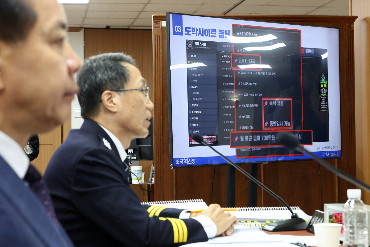 ▲17일 서울 서대문구 경찰청에서 열린 국회 행정안전위원회 경찰청 대상 국정감사에서 유재성 경찰청장 직무대행이 조국혁신당 정춘생 의원의 캄보디아 한국인 납치·구금 사태 관련 질의에 답하고 있다.  (연합뉴스)