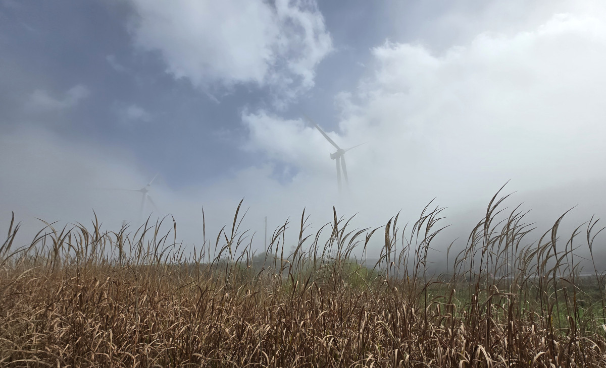 ▲19일 짙은 안개가 낀 강원 평창군 대관령 일원이 가을 정취가 물씬 느껴지는 모습이다. (연합뉴스)