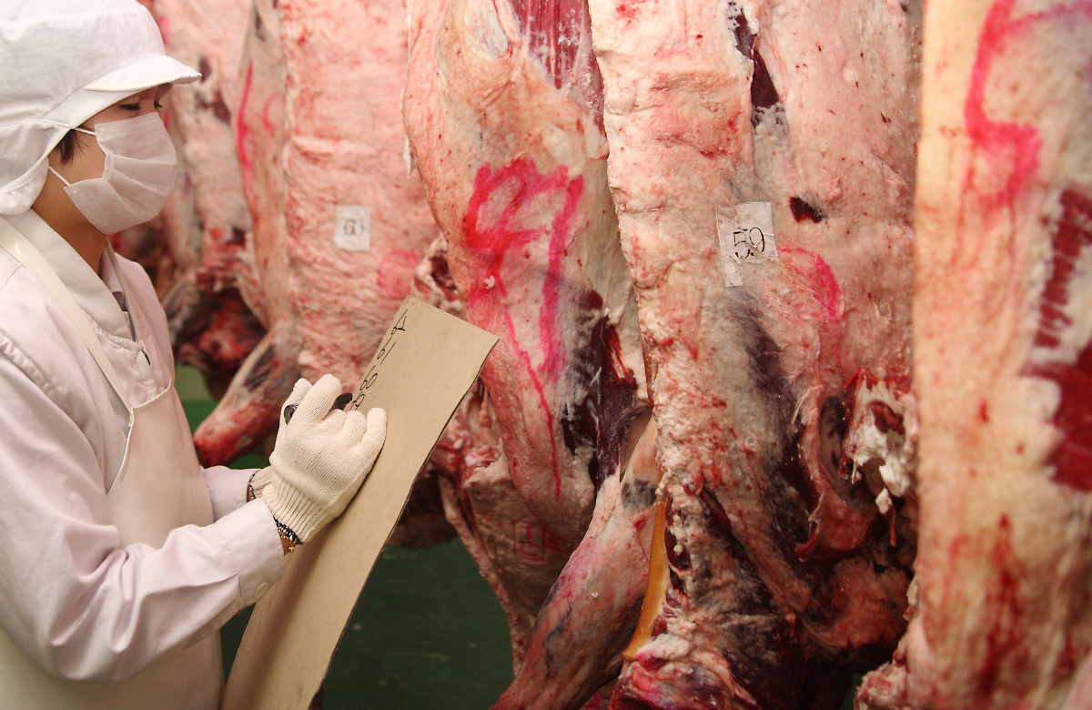 ▲농협안심축산 관계자가 도축된 고기를 살펴보고 있다. (사진제공=농협안심축산)