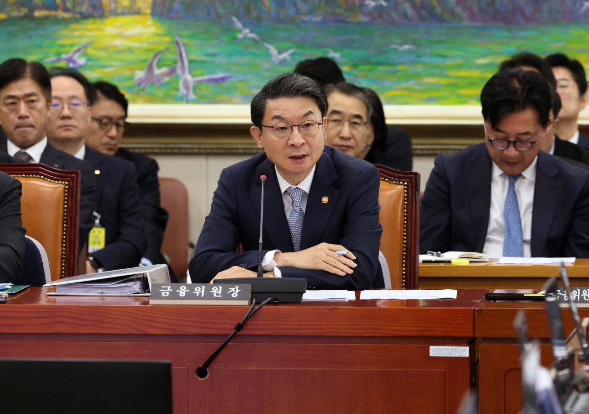 ▲이억원 금융위원장이 20일 서울 여의도 국회 정무위원회에서 열린 금융위원회 등에 대한 국정감사에서 의원 질의에 답하고 있다. 신태현 기자 holjjak@