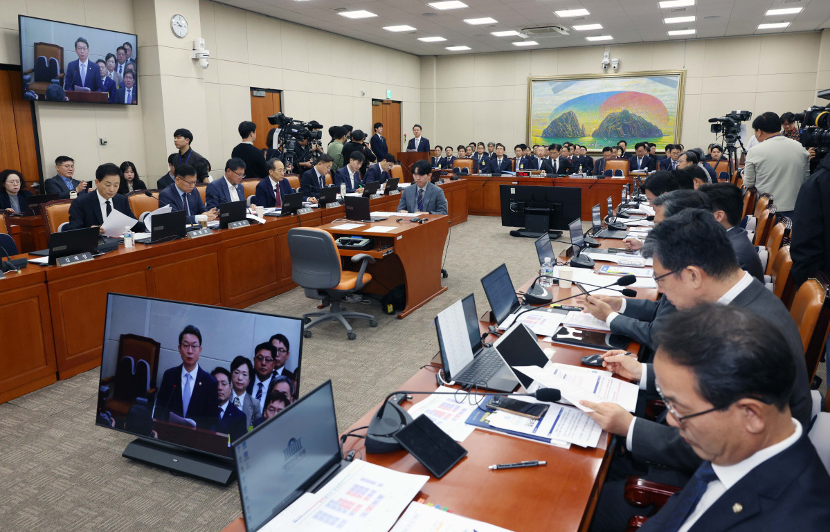 ▲이억원 금융위원장이 20일 서울 여의도 국회 정무위원회에서 열린 금융위원회 등에 대한 국정감사에서 업무보고를 하고있다. 신태현 기자 holjjak@