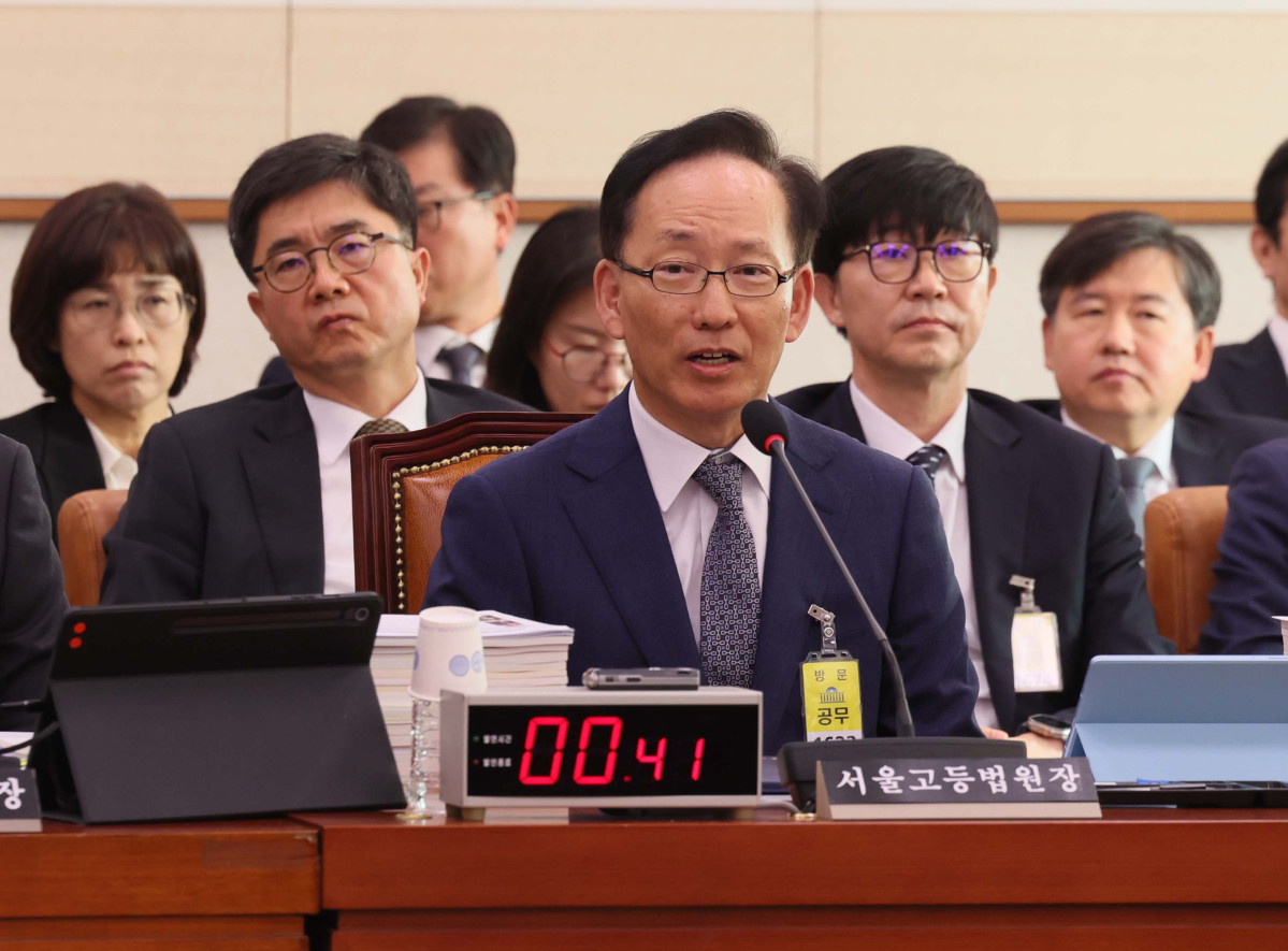 ▲김대웅 서울고등법원장이 20일 서울 여의도 국회 법제사법위원회에서 열린 서울고등법원 등에 대한 국정감사에 출석해 의원 질의에 답변하고 있다. 신태현 기자 holjjak@