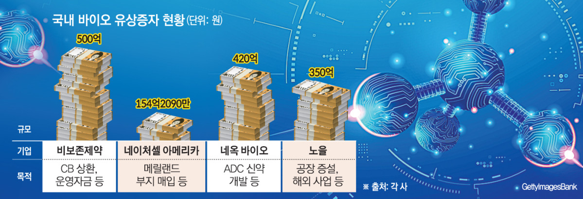 (그래픽=손미경 기자 sssmk@)