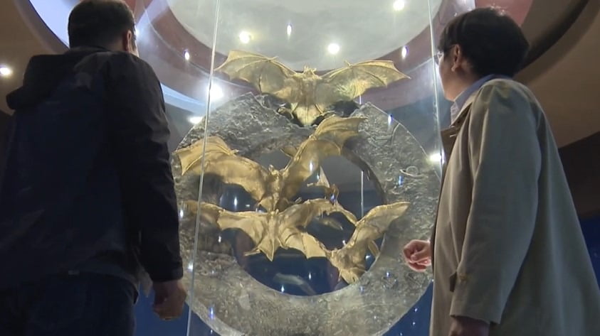 ▲전남 함평의 '황금박쥐상' (사진제공=연합뉴스)