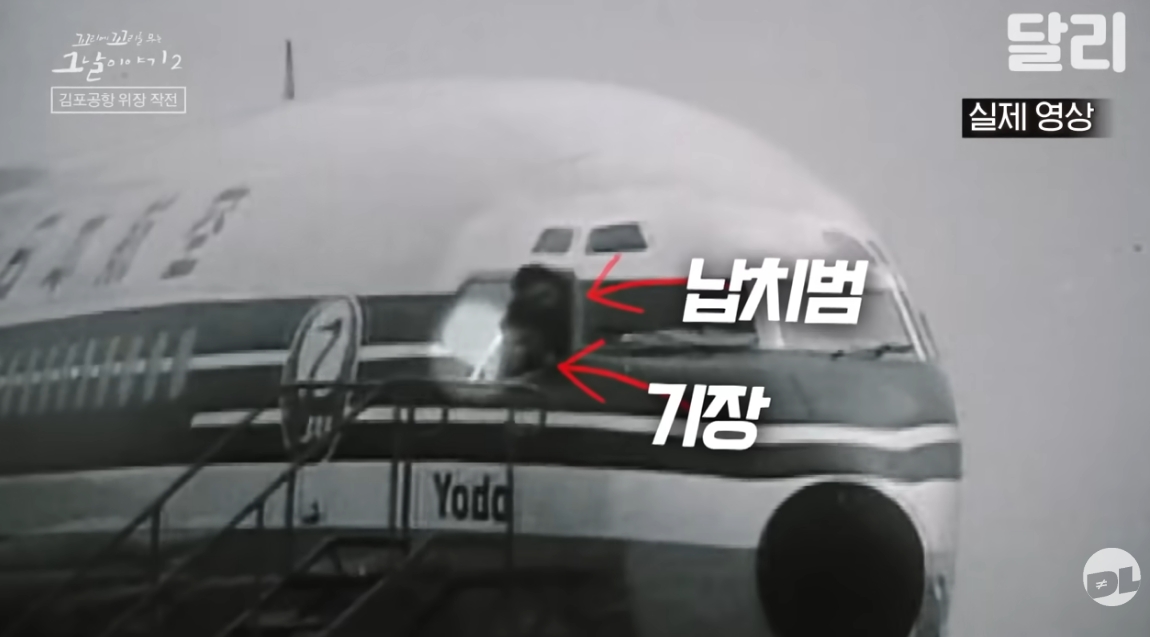 (출처=유튜브 채널 '달리 [SBS DALI] - SBS 공식 교양 채널' 캡처)