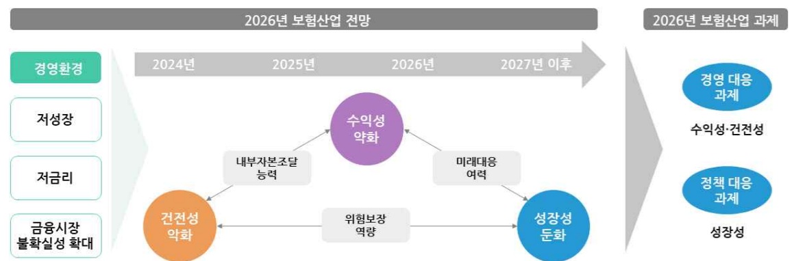 ▲보험산업 전망과 과제 (제공 보험연구원)