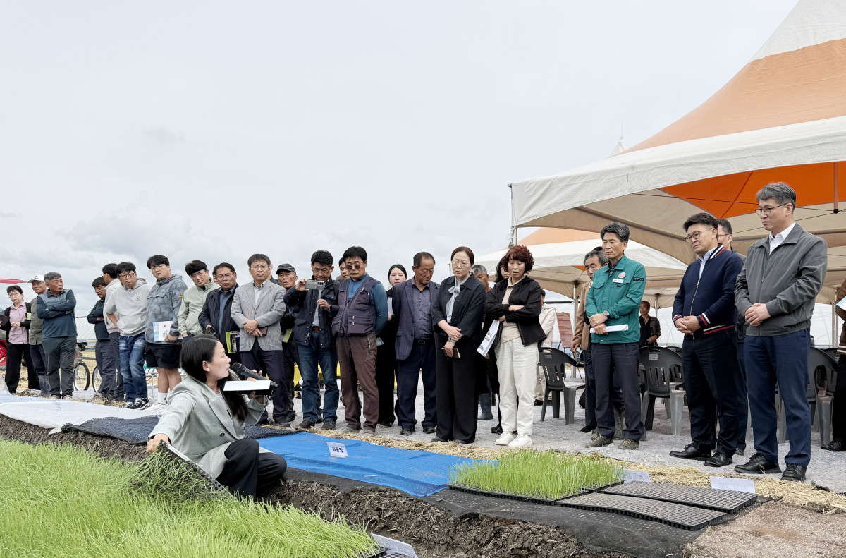 ▲서효원 농촌진흥청 차장(오른쪽)이 21일 경남 함양군 양파 육묘 재배 현장을 찾아 기계정식용 모종의 노지 생산 기술에 대한 설명을 듣고 있다. (사진제공=농촌진흥청)