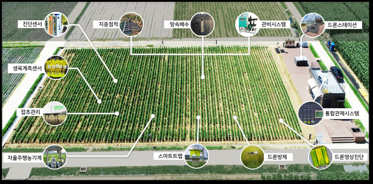 ▲국립식량과학원에서 개발한 노지 스마트농업 모식도 (사진제공=농촌진흥청)