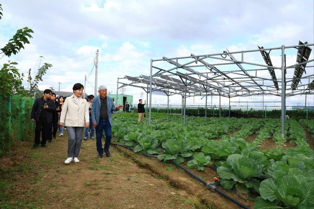 ▲송미령 농림축산식품부 장관이 10월 22일 청주시 오창읍 ‘영농형 태양광 실증단지’를 방문해 현장을 확인하고 있다. (사진제공=농림축산식품부)