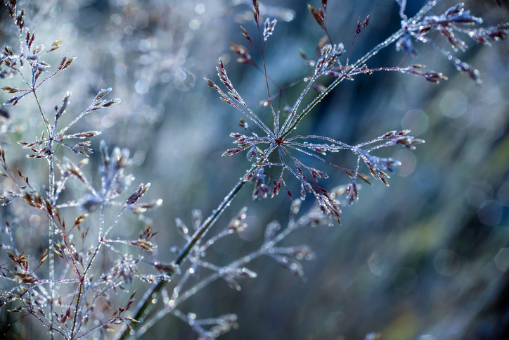 (게티이미지뱅크)