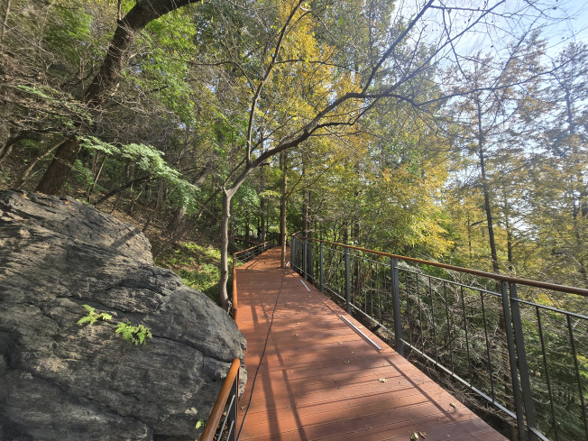 ▲서울 남산 무장애 길 모습. (사진제공=서울시)