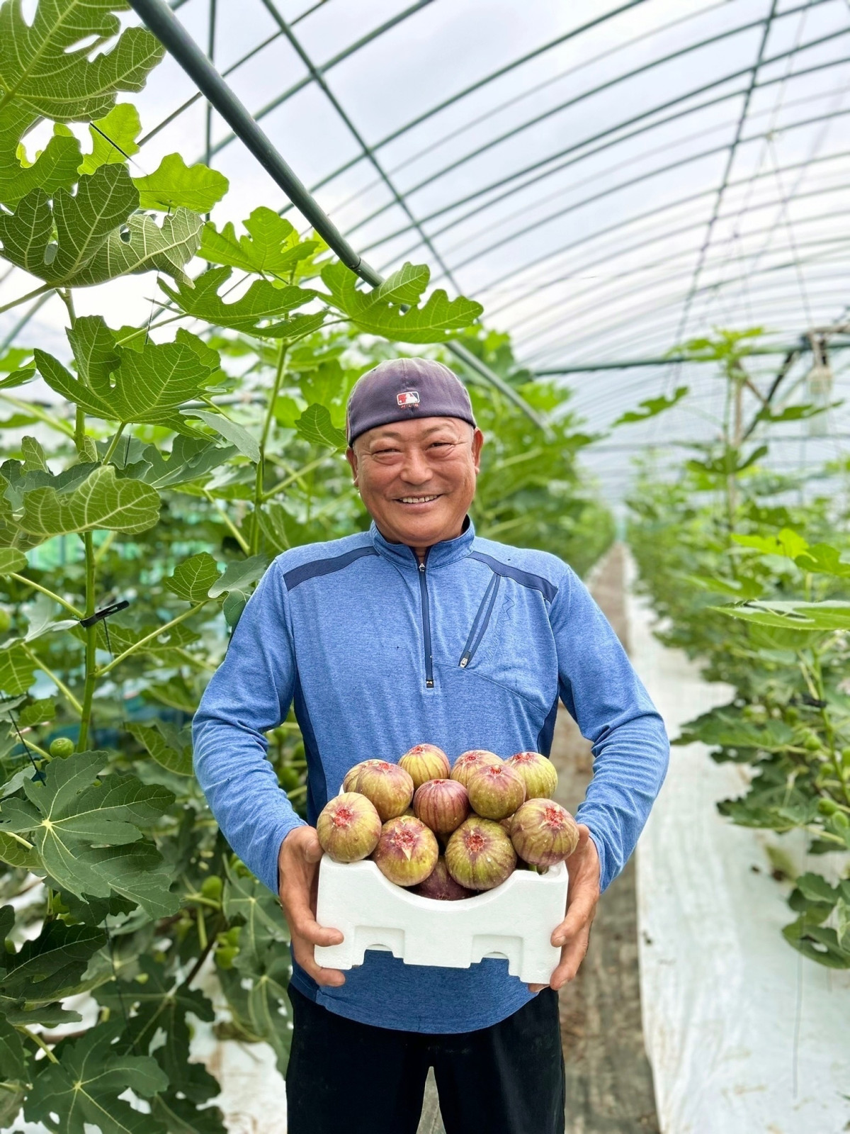 ▲전남 함평에 위치한 '함평농부' 채상희 대표가 무화과 상자를 들고 있다. (사진제공=쿠팡)