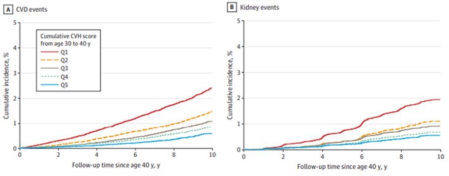 ▲40세 이후 10여년간의 추적 관찰 결과, 30대에 누적된 심혈관 건강 수준이 상위 20%인 집단은 하위 20%인 집단에 비해 심뇌혈관질환과 신장질환 발생 위험이 각각 73%, 75% 낮은 것으로 나타났다.  (연세의료원)