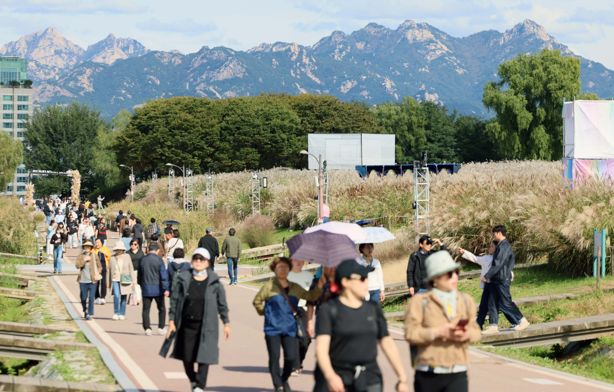 ▲완연한 가을 날씨를 보인 24일 서울 마포구 하늘공원에서 시민들이 억새밭을 거닐며 계절의 정취를 만끽하고 있다. 신태현 기자 holjjak@