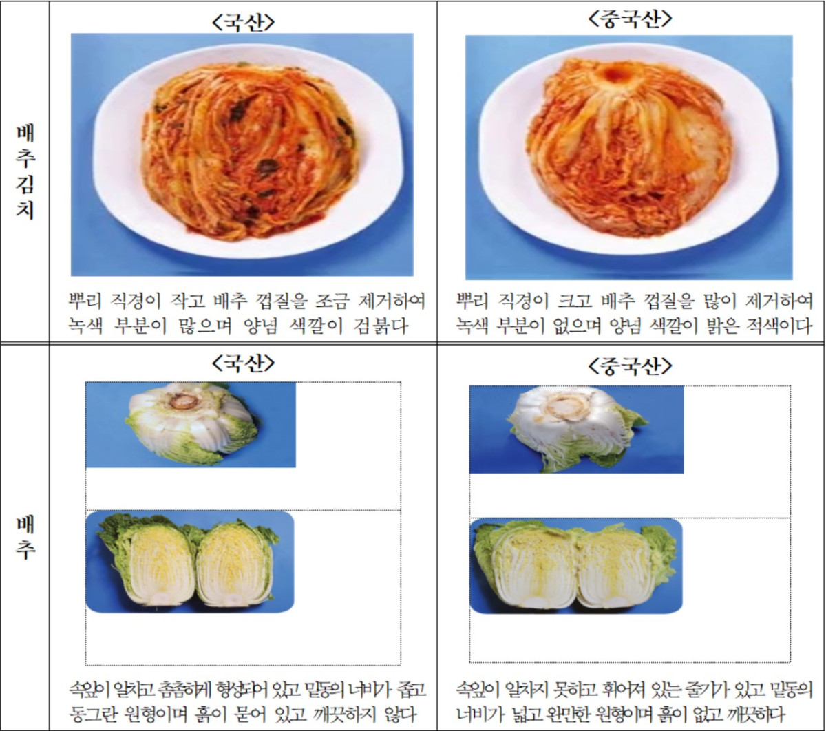 ▲김장철 주요 농산물 원산지 식별 방법 (자료제공=농림축산식품부)