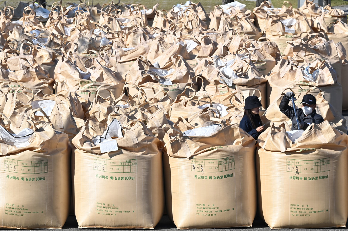▲2024년 11월 7일 경기도 평택시 오성면 농업생태원에서 열린 2024년산 공공비축미곡 매입 현장에서 검수원들이 벼의 품질을 검수하고 있다.  (뉴시스)