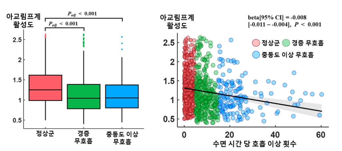 ▲수면무호흡 중증도와 뇌 노폐물 배출 시스템 '아교림프계' 활성도의 관계,수면무호흡증이 심할수록 아교림프계 활성도가 낮다. (분당서울대병원)