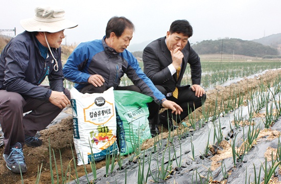 ▲ '칼슘유황비료' 보조사업 펼치는 무안군.(이 사진은 기사와 관련 없음) (사진제공=무안군)