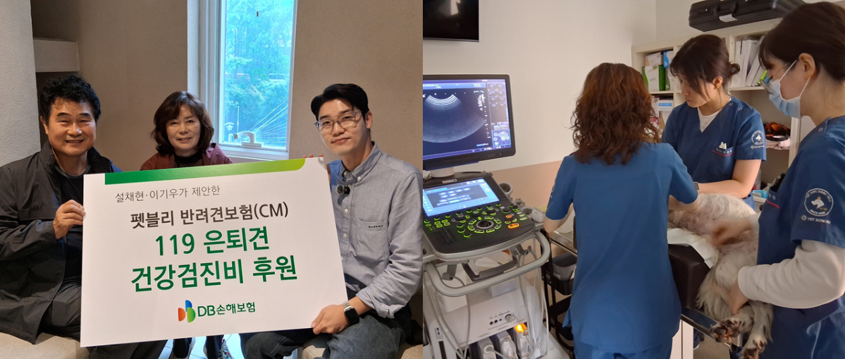 ▲9일 서울시 강남구 설채현 수의사 동물병원에서 119은퇴견 다솔이에 대한 건강검진을 진행하고 기념촬영을 하고 있다. (제공 DB손해보험)
