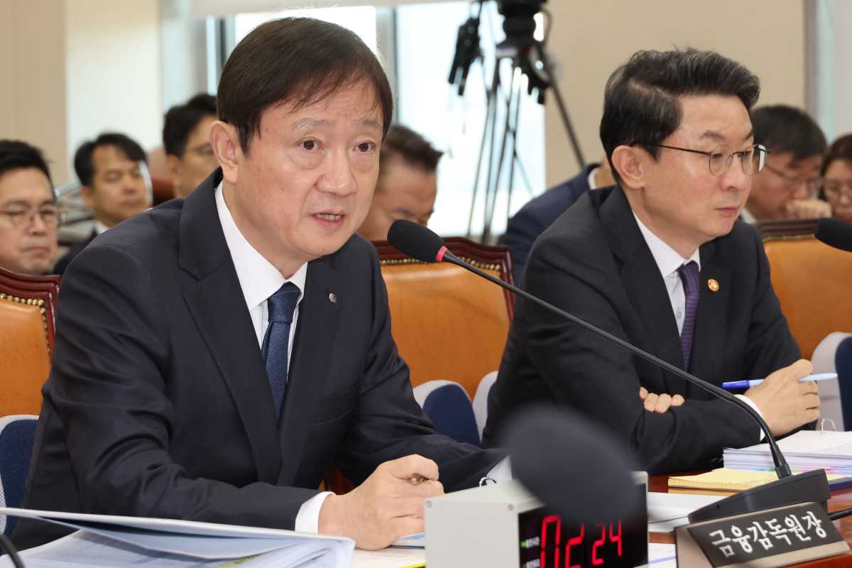 ▲이찬진 금융감독원장이  27일 서울 여의도 국회에서 열린 정무위원회의 종합감사에서 위원 질의에 답하고 있다 (연합뉴스)