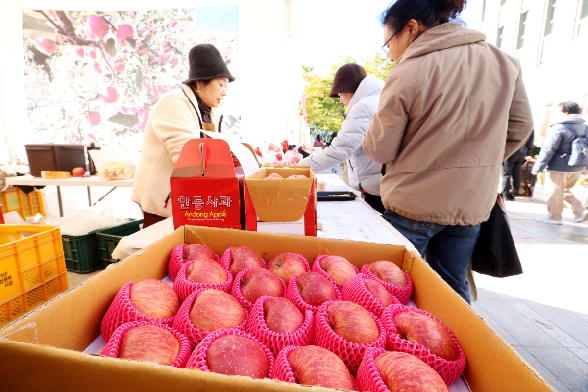 ▲27일 서울광장에서 열린 안동 농·축·특산물 직거래 장터 ‘2025 왔니껴안동장터’를 찾은 시민들이 사과를 살펴보고 있다. 신태현 기자 holjjak@