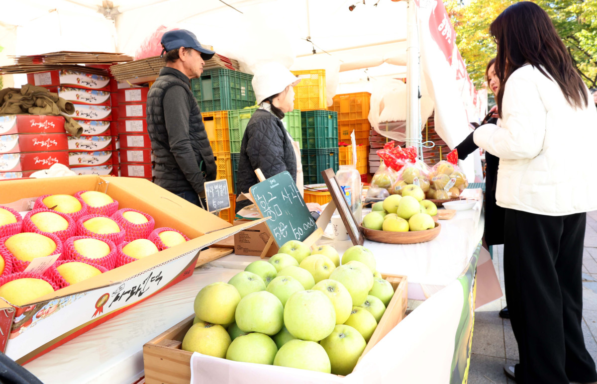 ▲27일 서울광장에서 열린 안동 농·축·특산물 직거래 장터 ‘2025 왔니껴안동장터’를 찾은 시민들이 사과를 살펴보고 있다. 신태현 기자 holjjak@