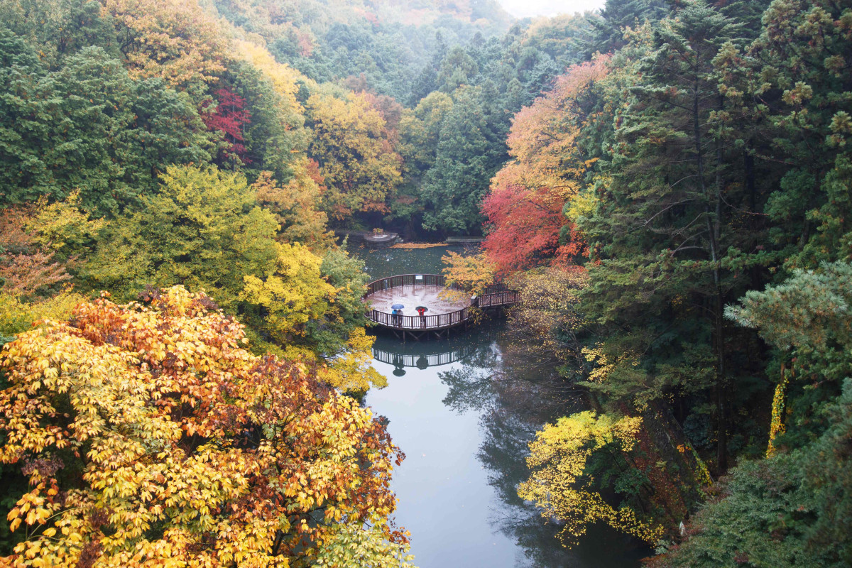 ▲부산 어린이대공원 (사진제공=산림청)