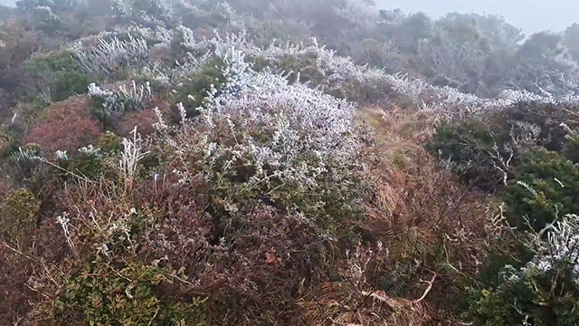 ▲제주도의 기온이 뚝 떨어지면서 한라산에 올가을 첫 상고대 관측 (사진제공=kbs캡처)