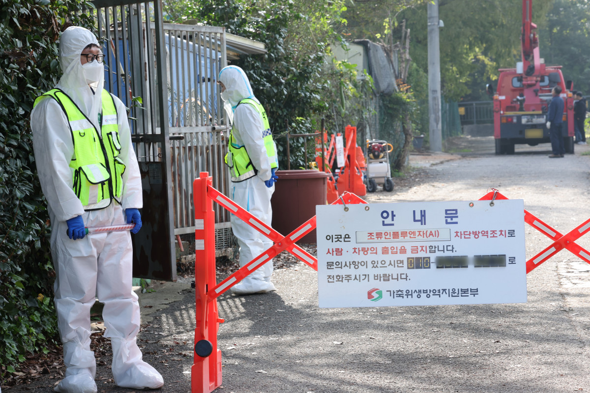 ▲10월 22일 조류인플루엔자(AI)가 발생한 광주 남구 한 기러기 농장 인근에서 방역 당국이 출입을 통제하고 있다. 농림축산식품부는 전날부터 'AI 긴급행동지침'에 따라 해당 농장에 초동 대응팀을 투입해 출입을 통제하고 살처분과 역학조사 등 방역 조치를 하고 있다. (연합뉴스)
