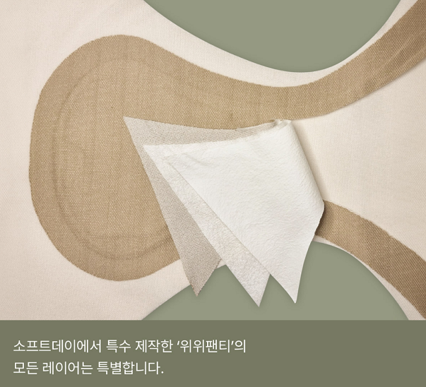 (소프트데이 제공)