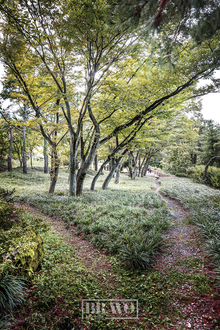 (주민욱 프리랜서)