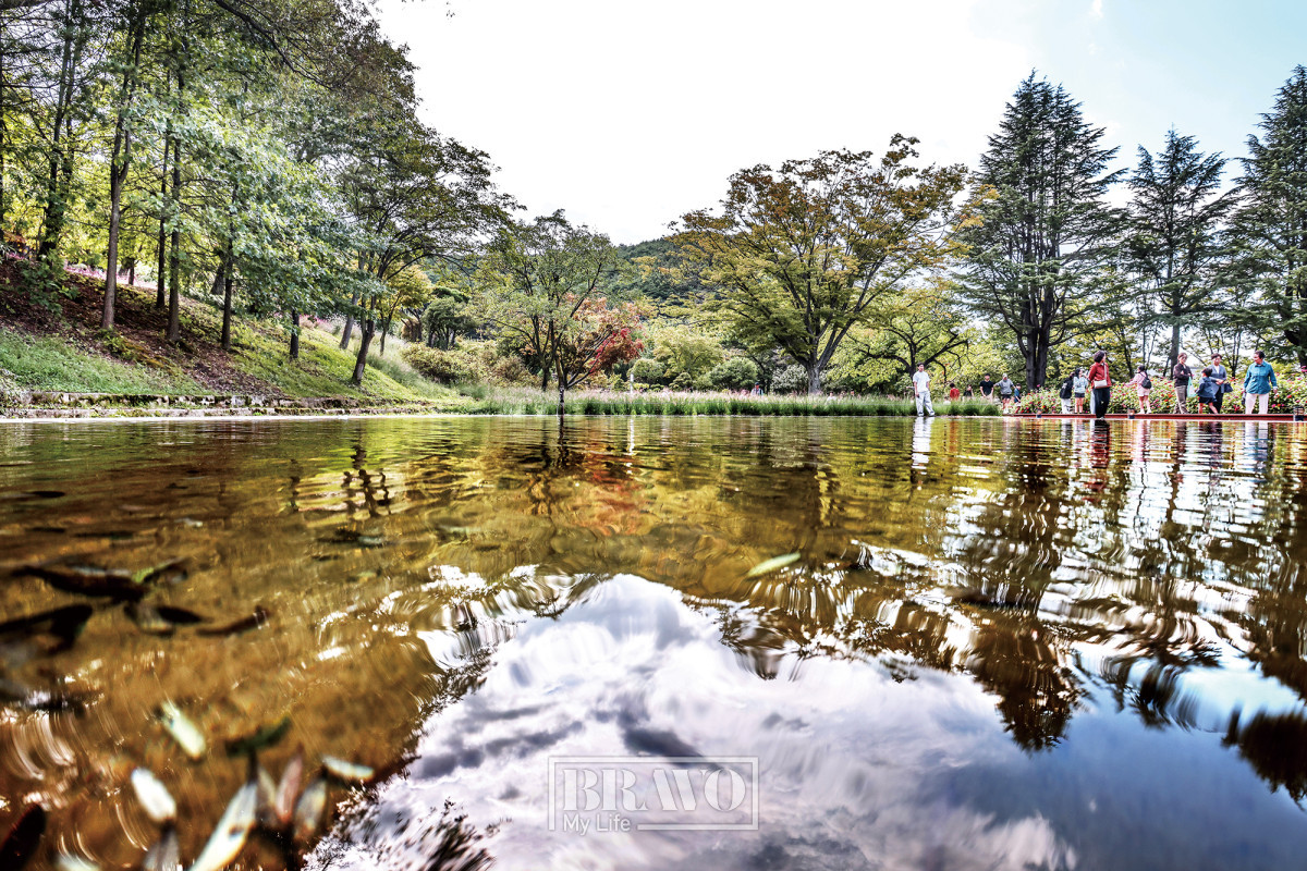 (주민욱 프리랜서)