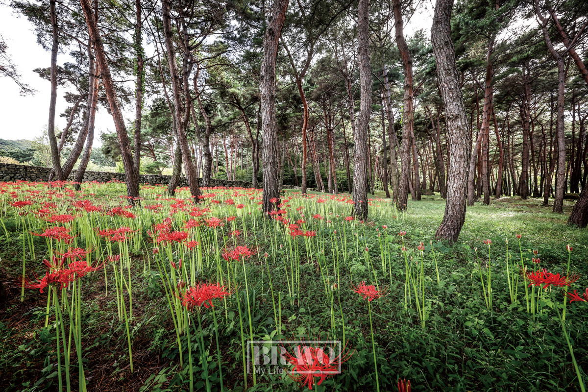 (주민욱 프리랜서)