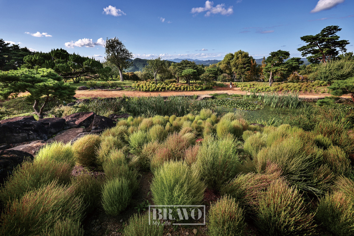 (주민욱 프리랜서)