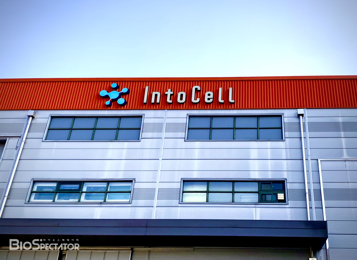 인투셀, 'B7-H3 ADC' 고형암 1상 "美 IND도 신청"