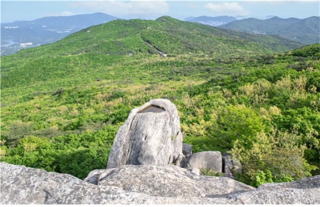 ▲금정산 정상부의 작은 우물 바위 '금샘' (사진제공=부산시)