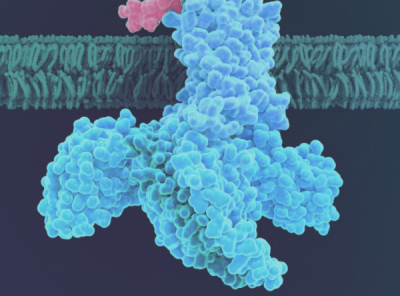 ‘비만’ 카일레라, 시리즈B 6억弗..올해 “최대규모 펀딩”