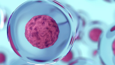 GC셀 아티바, ‘NK세포’ RA “FDA 패스트트랙 지정”