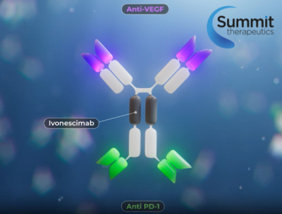 서밋, PD-1xVEGF 'OS 실패' 불구 “美 허가신청 추진”