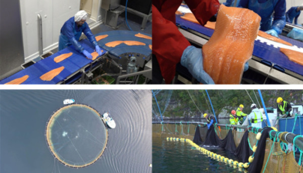 ▲'극한직업' (사진제공=EBS1 )