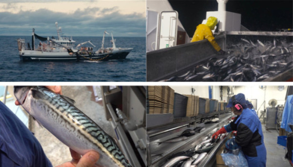 ▲'극한직업' (사진제공=EBS1 )