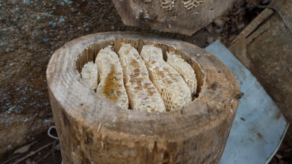 ▲'한국기행'(사진제공=EBS1 )