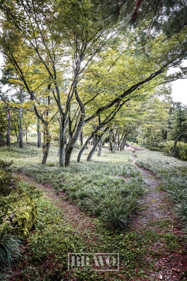 (주민욱 프리랜서)