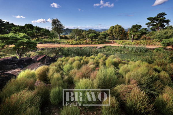 (주민욱 프리랜서)