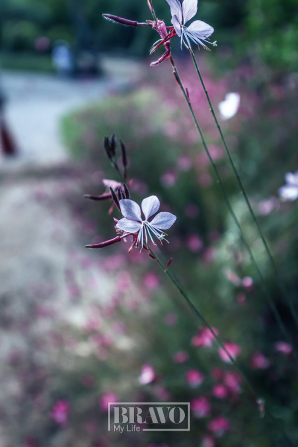 (주민욱 프리랜서)